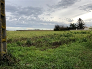 terrain à la vente -   17250  SAINT SULPICE D ARNOULT, surface 750 m2 vente terrain - UBI465069122
